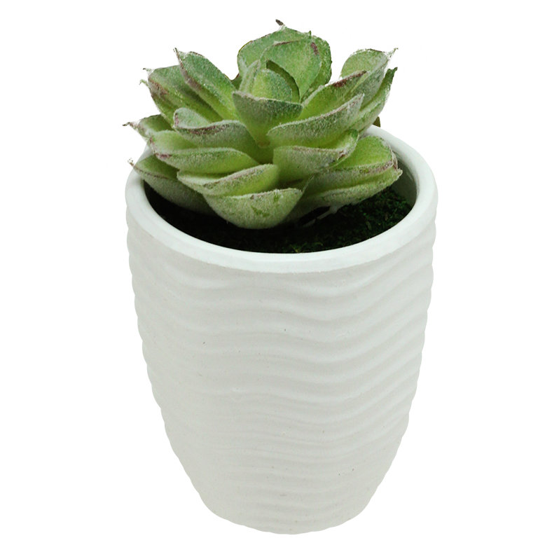 Plante succulente artificielle Echeveria