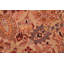 Tapis brun en laine à motif oriental fait à la main 6 pi 2 po x 9 pi 4 po Cosgrove