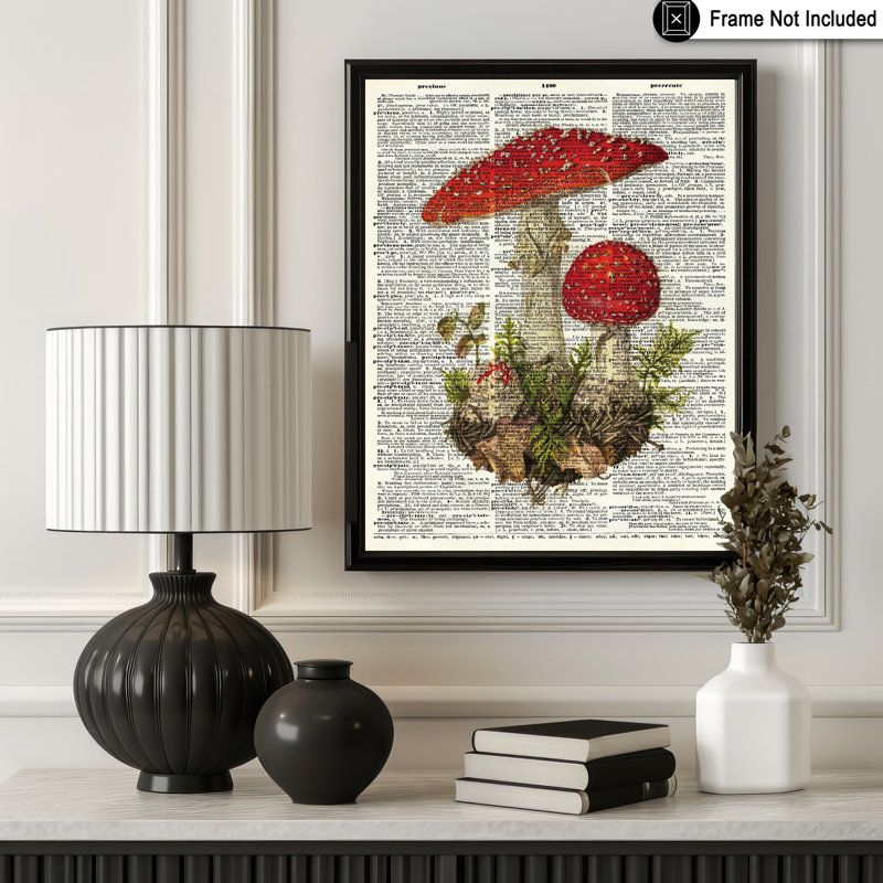 Mouche, gélose et champignon, Sans cadre, Affiche, H 18 po x l 24 po