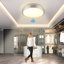1-Light Flush Mount