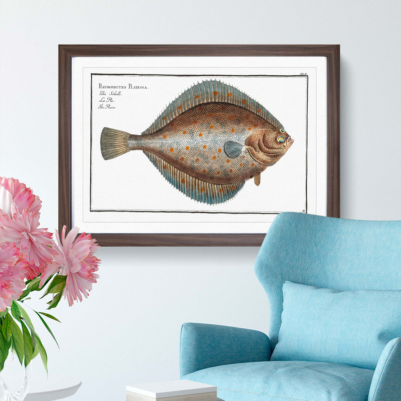Plaice Fish by M.E. Bloch - Picture Frame Painting Print, 27cm H x 36cm W x 2cm D, Walnut Framed