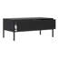 Coffee Table-1310115466
