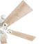 Ventilateur de plafond 52 po Glenmont-167357257
