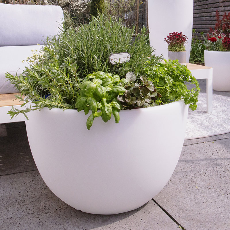 Maeva Plastic Plant Pot, 39cm H x 59cm W x 59cm D