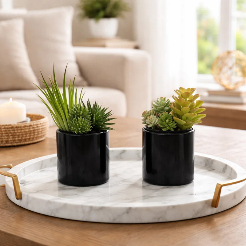 Ensemble de plantes succulentes artificielles Mon 2, pots en céramique noir brillant, 7 pouces, Noir
