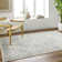 Oriental Indoor Rug