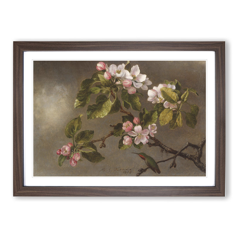 Apple Blossom by Martin Johnson Heade - Picture Frame Graphic Art, 36cm H x 48cm W x 2cm D, Walnut Framed