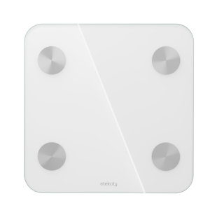 Smart Fitness Scale