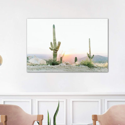 «Saguros in the Sun, Tuscon, Arizona», photographie