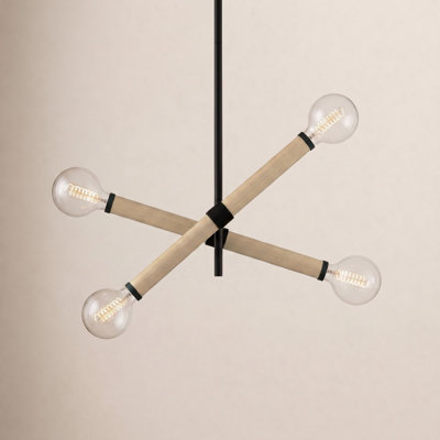 Sarisha Iron 4-Light Chandelier
