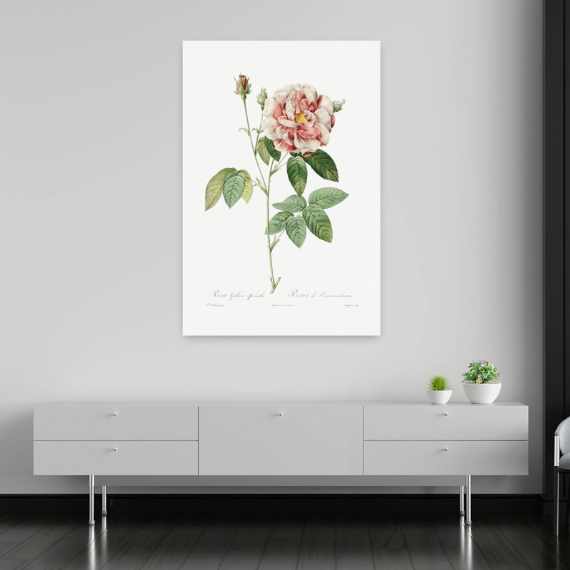 Rosa Gallica, art abstrait rétro rétro avec paysage floral, H 60 po x l 40 po