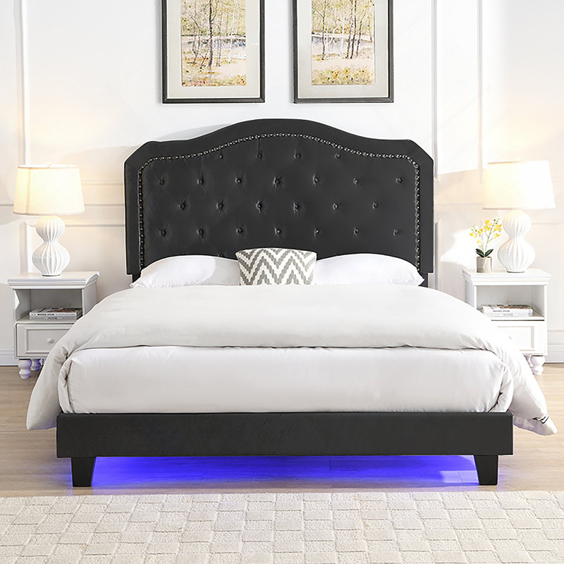 Structure de lit Windzer avec design incurvé - aucun sommier nécessaire - support de lattes en bois massif - assemblage facile - velours gris clair - lumières DEL sous le lit