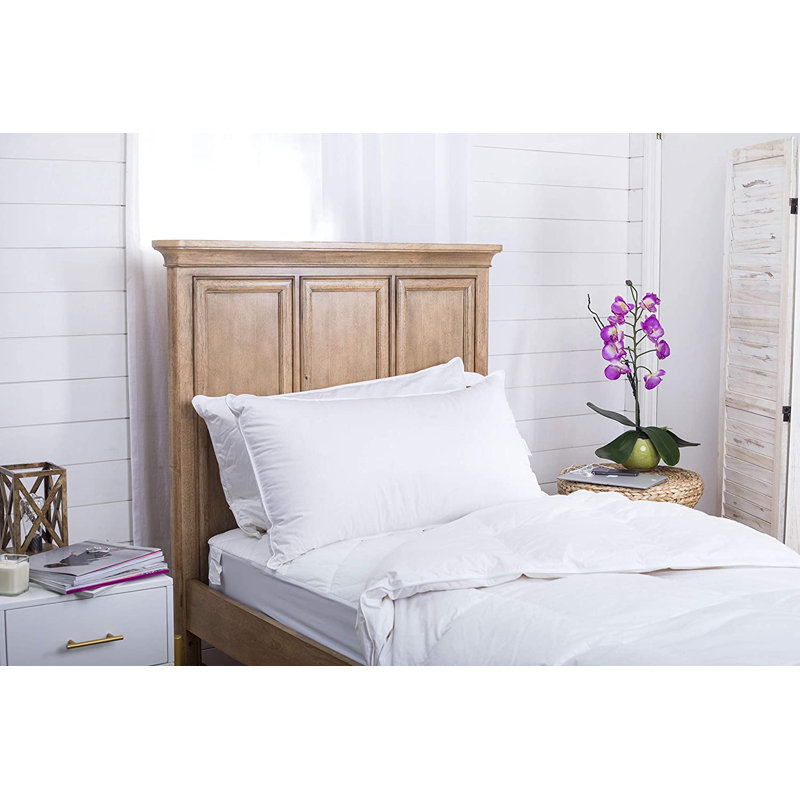 Zahara 2-Pack Plush Down Pillows, 550FP Down, 400TC Cotton Cover, Gentle Support, Standard