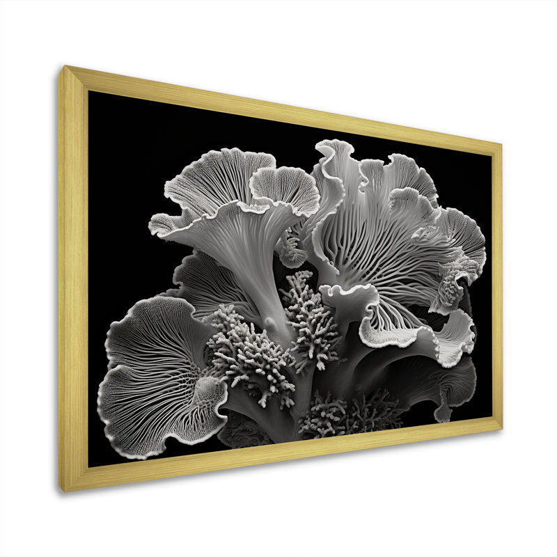 Anémone noire et blanche II - décoration murale plage et océan, Cadre doré simple, H 34 po x l 44 po x P 1,5 po