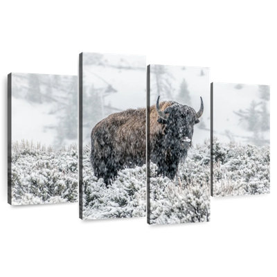 Brampt Lamar Valley Bison