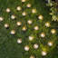 Matte Black Solar Powered Pathway Light Kit