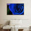 Bleu rose arbuste-968050419-968050418