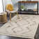 Southwestern Indoor Rug