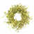 Green/Yellow