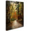 «Autumn Forest 4» par Vidur, reproduction de photo sur toile tendue-22069316
