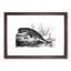 Hunted Sperm Whale by John Karst - Framed Print-55641379-55641380