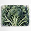 Légumes, broccoli et fleurs, art mural en métal vert-959243336