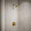 Elate Rite-Temp Shower Trim Kit, 1.75 Gpm-111140548
