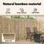 Bamboo Fence