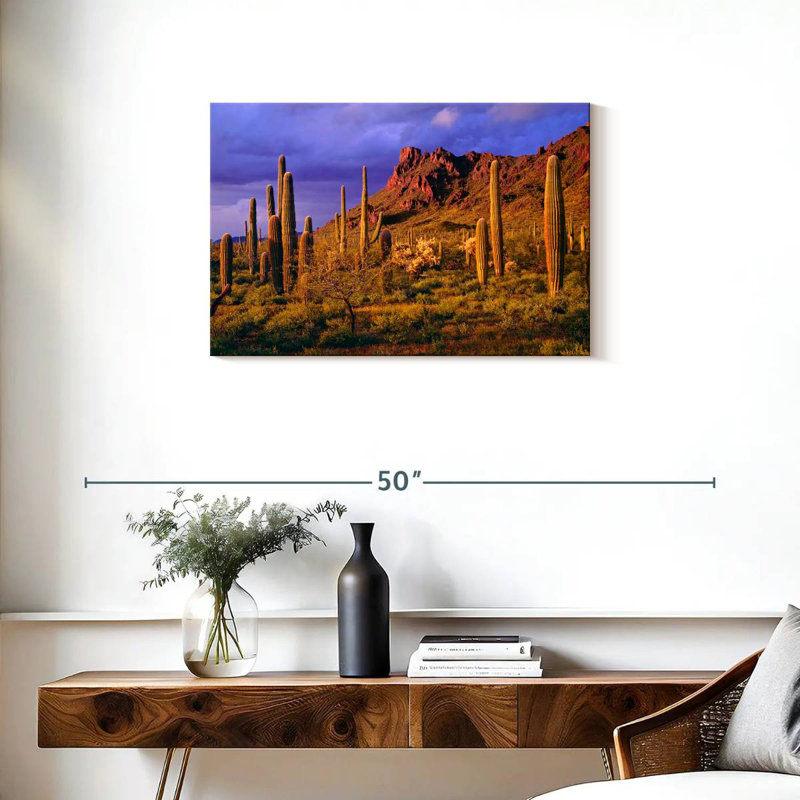 Harnek Arizona Cactus Plants, H 20 po x l 30 po