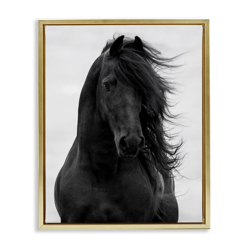 «Black Stallion Horse Portrait», art mural encadré doré sur toile flottante par Carol Walker, Cadre flottant métallique doré