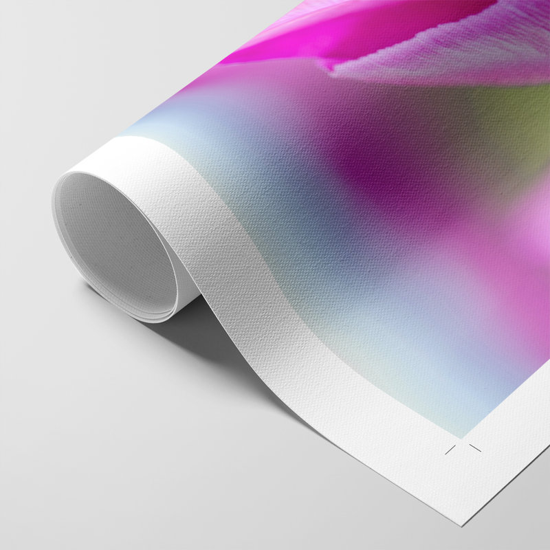 Tige de magenta - impression sur toile seulement - non encadrée, H 18 po x l 12 po