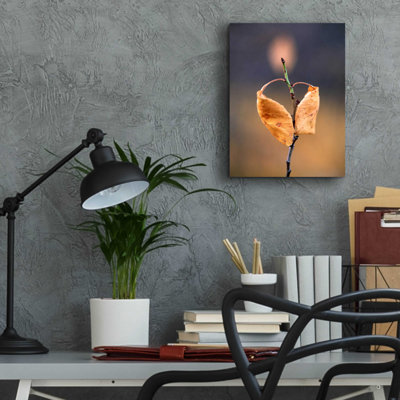«Candle Plant» par Thomas Haney