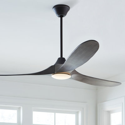 Ceiling Fan with LED Lights