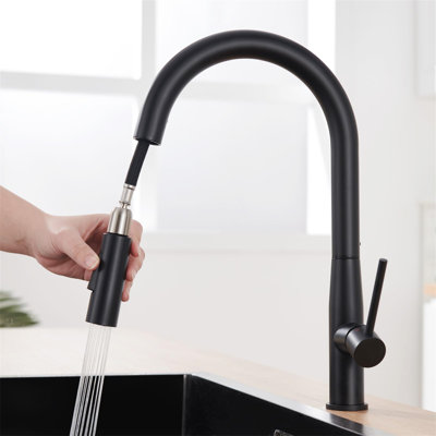 Belfry Kitchen Atascadero Kitchen Faucet