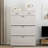 Shoe Storage-1851968746