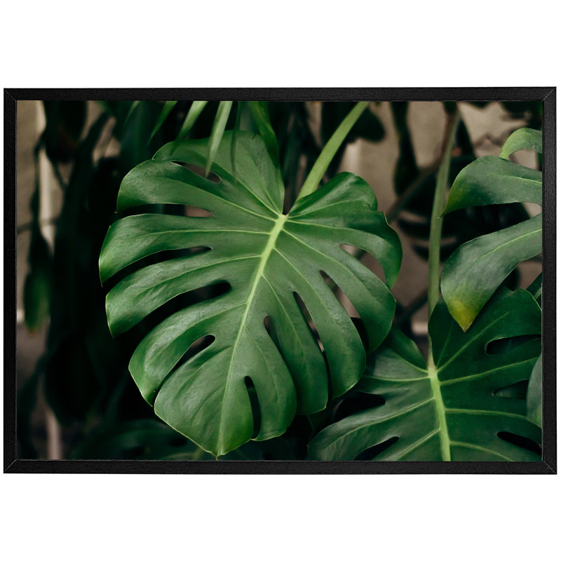 Abdikarim Monstera Leaves In Home Interior - Single Picture Frame Print, Black Framed, 76cm H x 114cm W x 4cm D