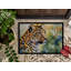 Lillee Non-Slip Doormat-14229026