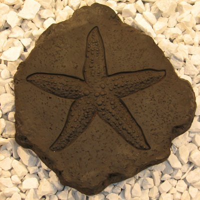 Tremplin étoile de mer