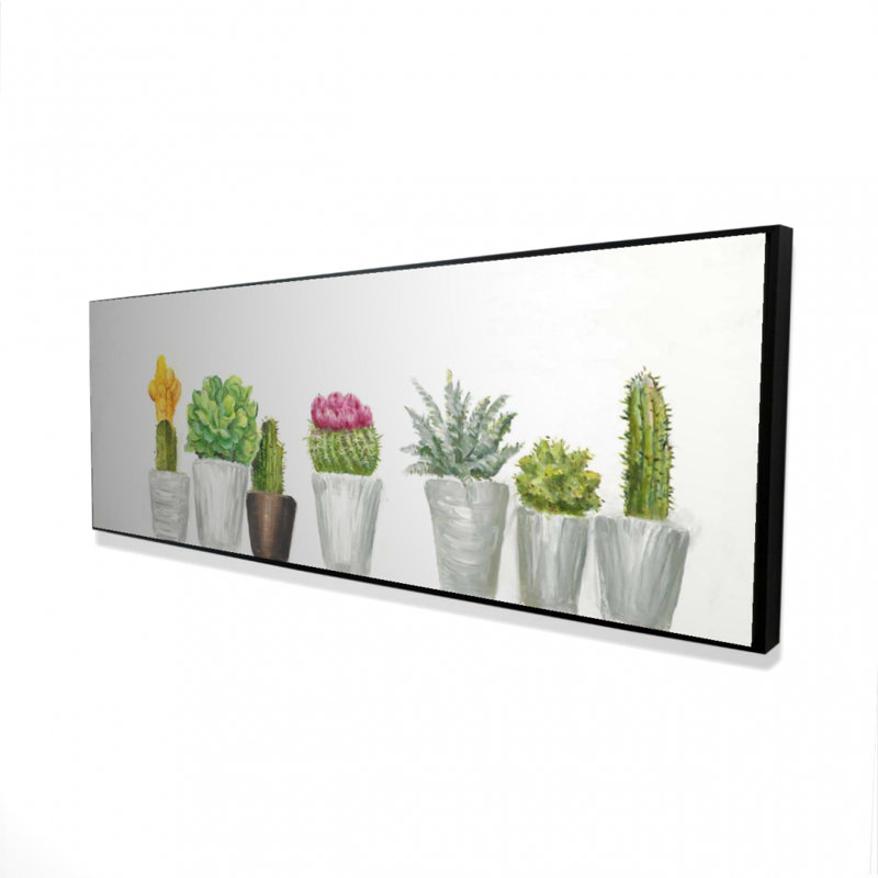 " Mini Cactus And Succulents "