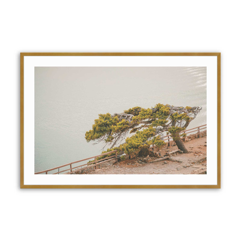 Motif de beauté balayée par le vent, H 13,25 po x l 17,25 po x P 1,25 po, Cadre simple en or poli