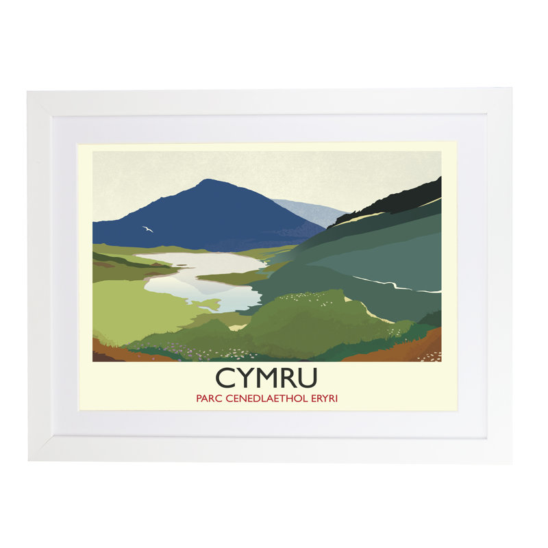 Cymru 1 Piece Wall Art, 33.5cm H x 43.5cm W x 2.2cm D, White
