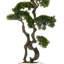 57.08'' Faux Bonsai Plant in Planter-1400062821