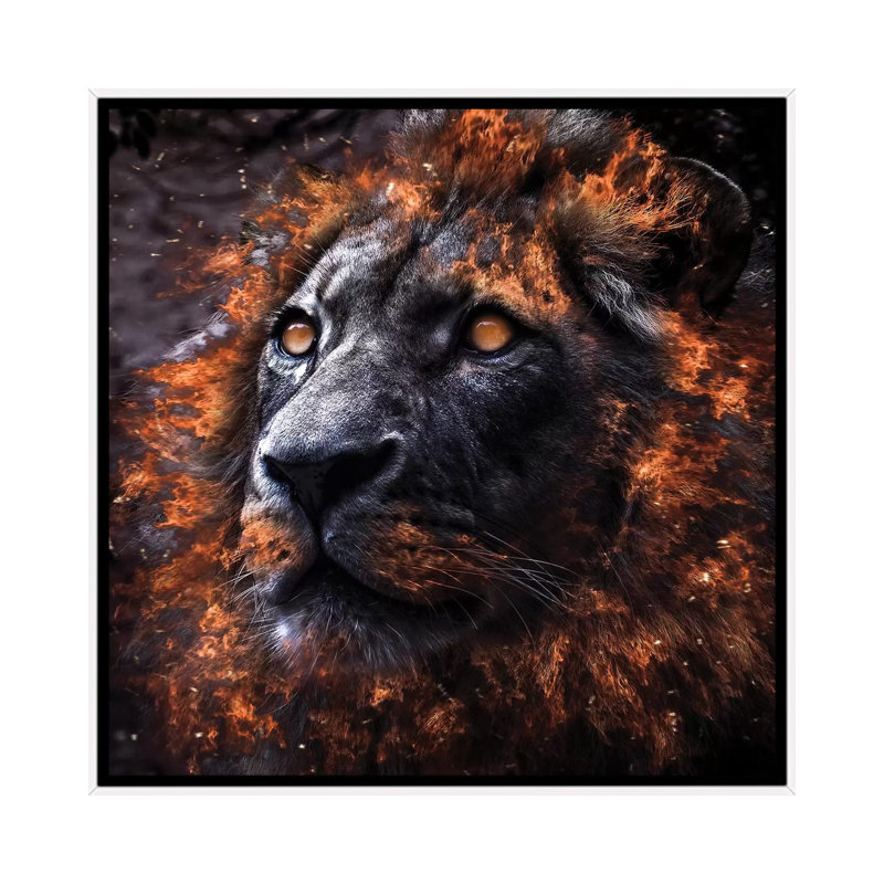Alpha by Paul Haag - Print on Canvas, White Framed, 45.72 cm H x 45.72 cm W