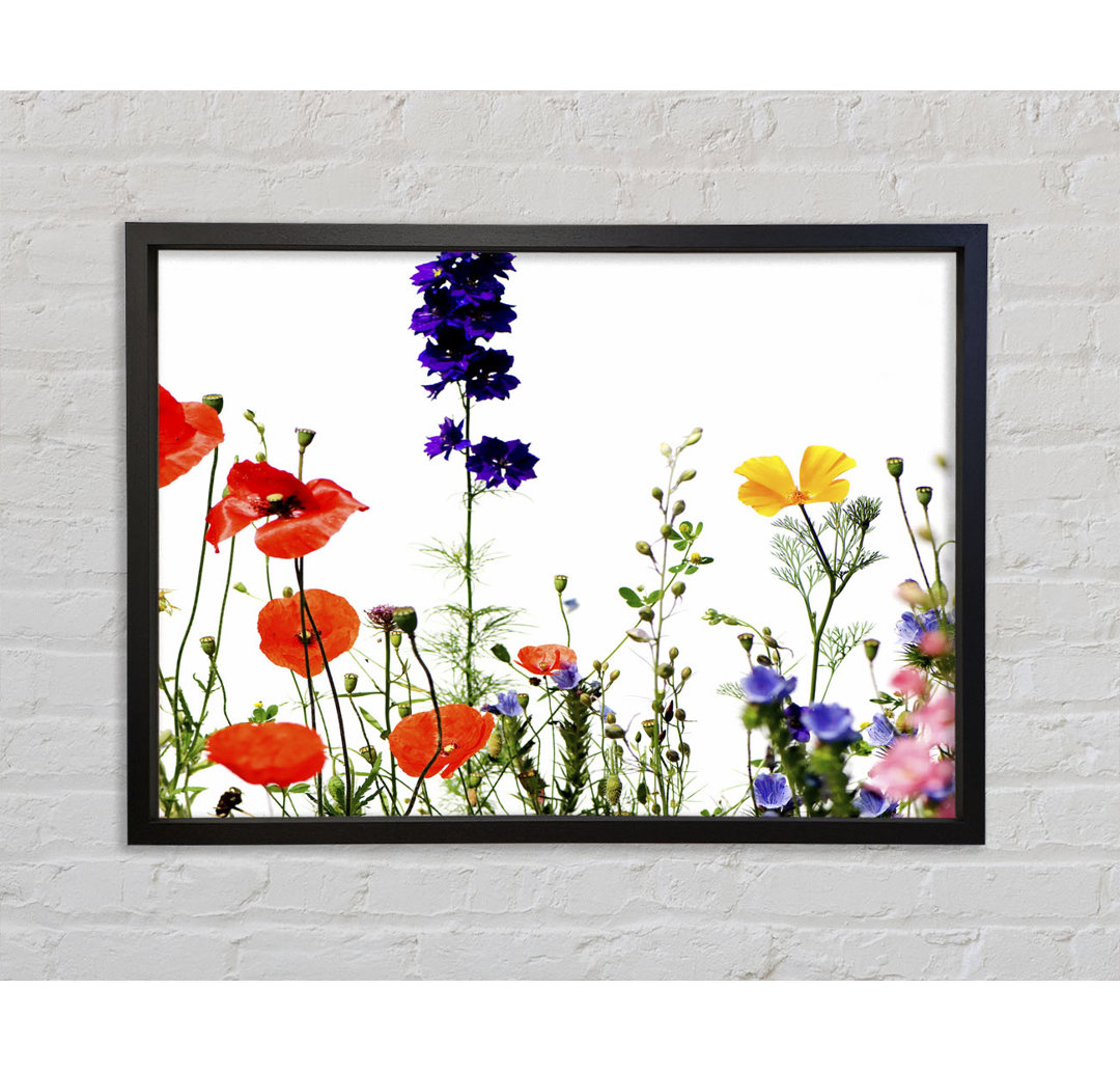 Wild Flower Garden In Bloom - Single Picture Frame Kunstdrucke auf Leinwand