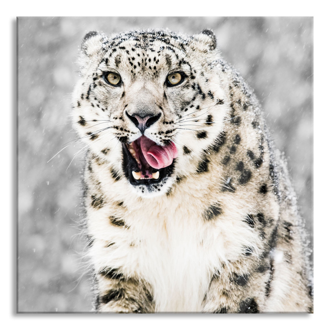 Glasbild Leopard im Schnee