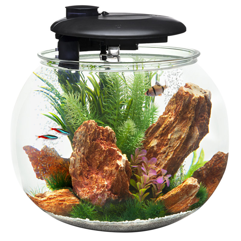 Grand aquarium Aquasphere 360 - 14 gallons, H 17,25 po x l 17,7 po x P 17,7 po (10 gallons)