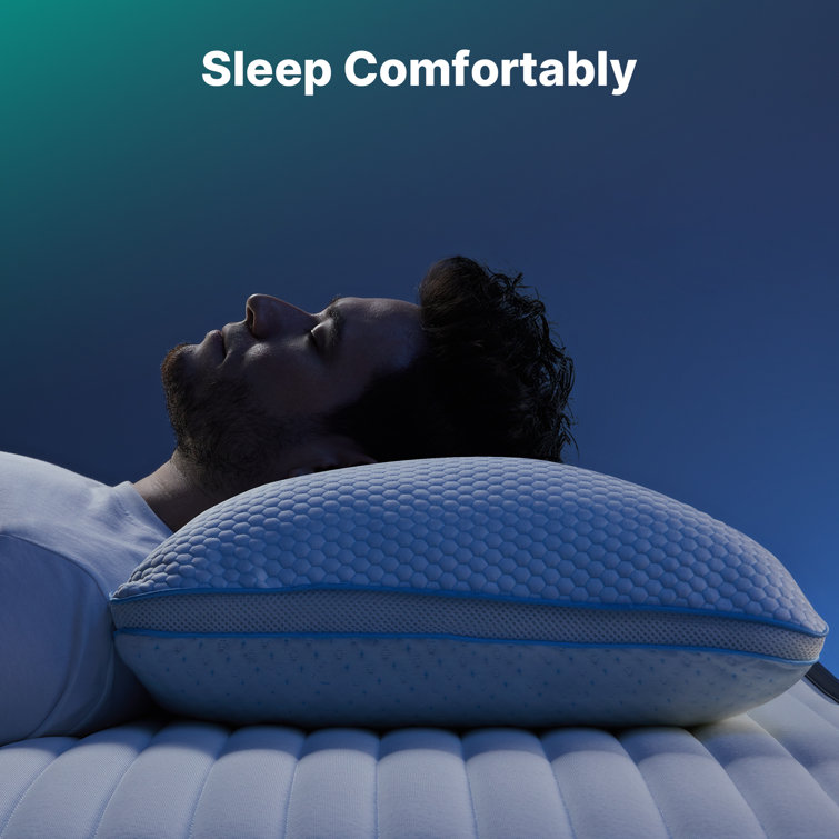 https://assets.wfcdn.com/im/76964354/resize-h755-w755%5Ecompr-r85/2208/220811210/Lugent+Memory+Foam+Medium+Cooling+Pillow.jpg