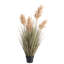 MISCANTHUS GRASS 120 cm H Faux Onion Grass Plant in Plastic Pot