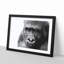 Gorilla with Brown Eyes - Picture Frame Graphic Art Print-56713300-56713301