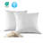 Down Feather Square Pillow Insert (Set of 2)-108830395